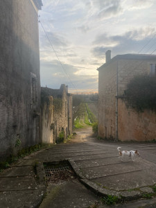 Photo de galerie - J’ai réalisé plusieurs fois la garde d’un petit chien pendant 2 semaine . Expérience géniale et à refaire ! j’espère que le chien pourra me recommander !?  