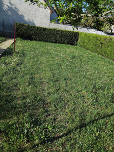 Photo de galerie - Avant 