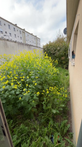 Photo de galerie - Avant 