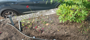 Photo de galerie - Pose de bordure