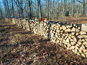 Photo de galerie - Coupe de bois 