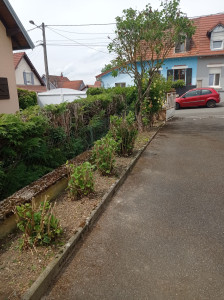 Photo de galerie - Paysagiste espace vert entretien votre jardin 