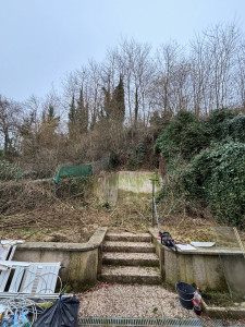 Photo de galerie - On peut voir ici beaucoup de arbustes du lierre et des ronces.  