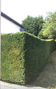 Photo de galerie - Après 