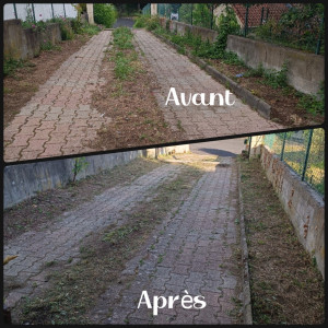 Photo de galerie - Debrouillage et taille au taille haie d'une allée.