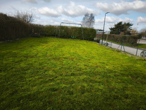 Photo de galerie - Tonte de pelouse