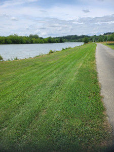 Photo de galerie - Tonte de pelouse - Débroussaillage
