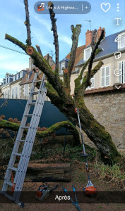 Photo de galerie - Jardinier