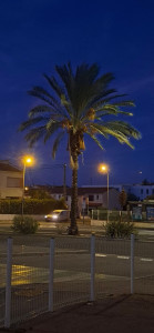 Photo de galerie - Ce que j'adore  dans la photo  c'est  la créativité  qu'on peut rapporter 