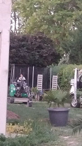 Photo de galerie - Évacuation Les souches