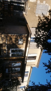 Photo de galerie - Charpente