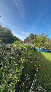 Photo de galerie - Taille de haies et d'arbustes