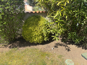 Photo de galerie - Désherbage 