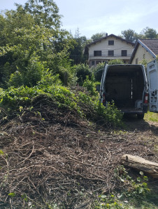 Photo de galerie - Enlèvement de branche 