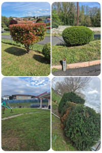 Photo de galerie - Tonte de pelouse - Débroussaillage