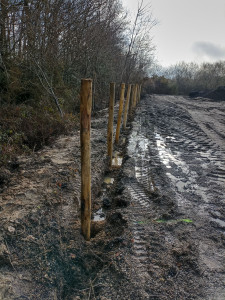 Photo de galerie - Clôture Grillage