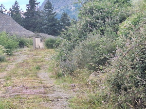 Photo de galerie - Debroussaillage accès terrain