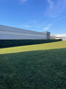 Photo de galerie - Taille de haies et d'arbustes