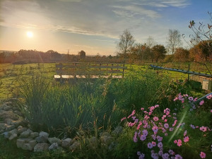 Photo de galerie - Accompagnement pour la mise en œuvre d'une Mare.
Cet aménagement a pour objectif de devenir le point d'ancrage pour accueillir la biodiversité.