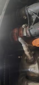 Photo de galerie - Dispo pour toute demande