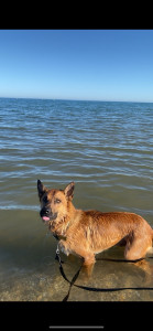 Photo de galerie - Tyron 