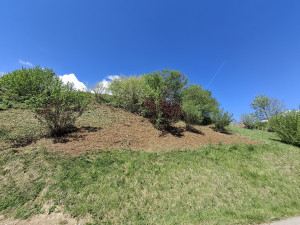 Photo de galerie - Après les broussaillages.
