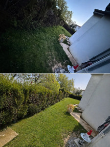 Photo de galerie - Tonte pelouse 