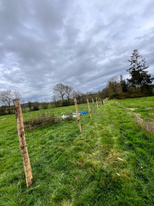 Photo de galerie - Clôture Grillage