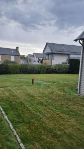 Photo de galerie - Taille de haies 