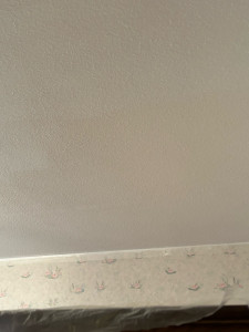 Photo de galerie - Peinture - Tapisserie