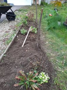 Photo de galerie - Jardinier