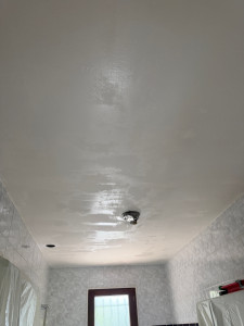 Photo de galerie - Ratissage de plafond