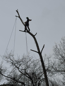Photo de galerie - Démontage 