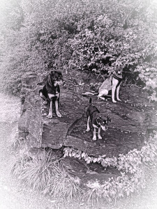 Photo de galerie - Moment magique