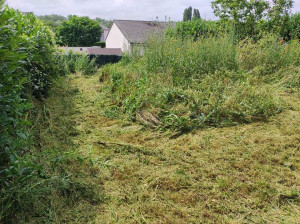 Photo de galerie - Voici un jardin à débroussailler (photo pendant mon passage ) , voir la photo suivante après mon passage .