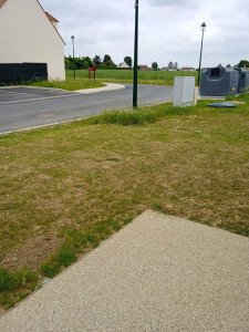 Photo de galerie - La tonte de mon jardin 