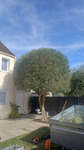 Photo de galerie - Après