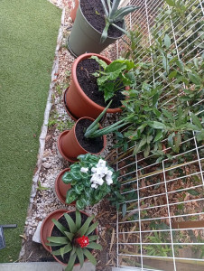 Photo de galerie - Jardinier