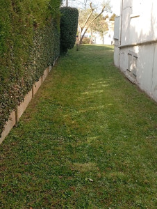 Photo de galerie - Tondre la pelouse