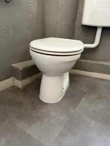 Photo de galerie - Remplacement à l’identité d’un wc