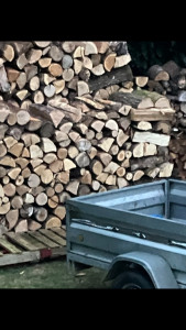 Photo de galerie - Coupe et rangement de stères 