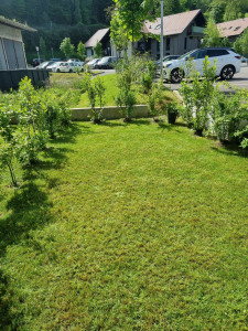 Photo de galerie - Tonte de pelouse - Débroussaillage