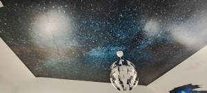 Photo de galerie - Panoramique au plafond. 