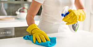 Photo de galerie - Recherche femme de ménage 