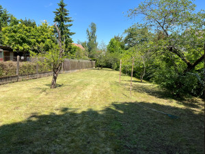 Photo de galerie - Résultat du débroussaillage et de la tonte n’hésitez pas me contacter 