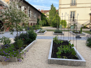 Photo de galerie - Paysagiste - Aménagement du jardin