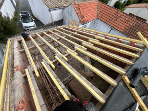 Photo de galerie - Chevrons moisé