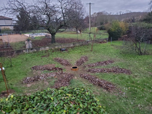 Photo de galerie - Paysagiste - Aménagement du jardin