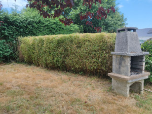 Photo de galerie - Tonte haie
