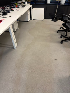 Photo de galerie - Ménage